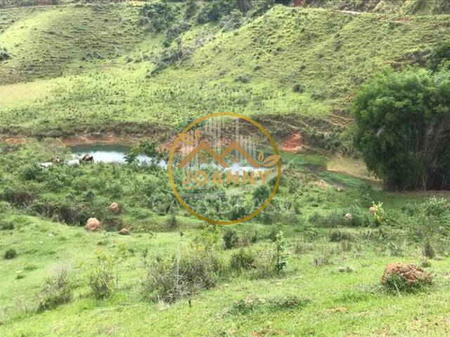 #TE0285 - Terreno para Venda em Natividade da Serra - SP - 3