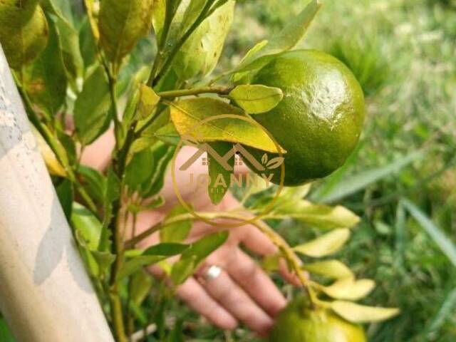 Chácara para Venda em Monteiro Lobato - 4