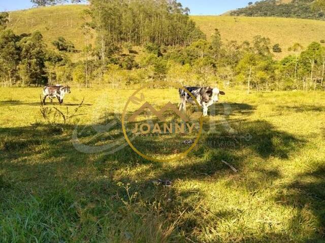 #ST00007 - Sítio para Venda em Monteiro Lobato - SP - 2