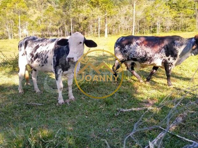 Sítio para Venda em Monteiro Lobato - 4