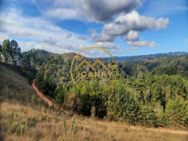 Terreno para Venda em Campos do Jordão - 5