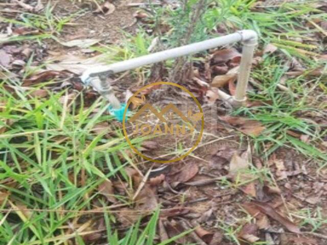 Terreno para Venda em Caçapava - 5