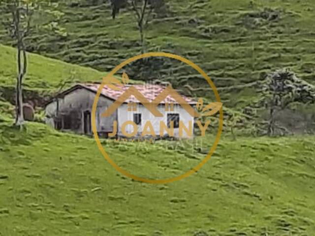 #FA0001 - Fazenda para Venda em Paraibuna - SP - 3