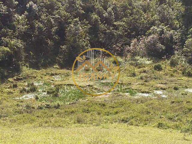 Fazenda para Venda em São José dos Campos - 4